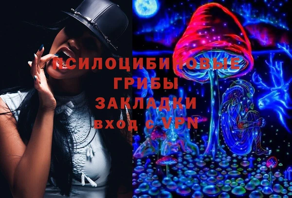 мдпв Армянск